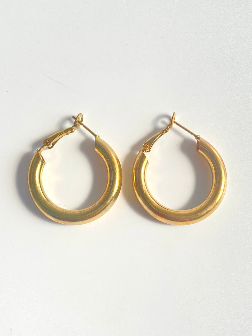 Beautiful Golden Hoop Earrings