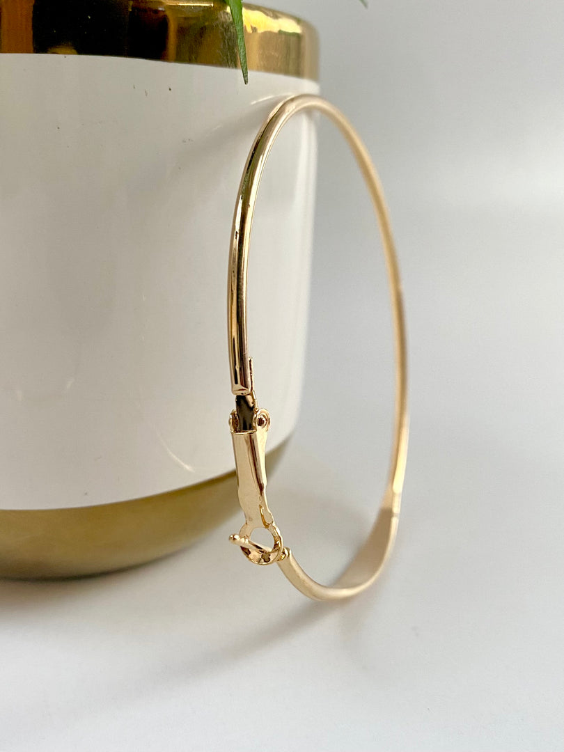 More N Less Round Loop Earrings